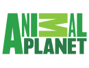 Animal Planet